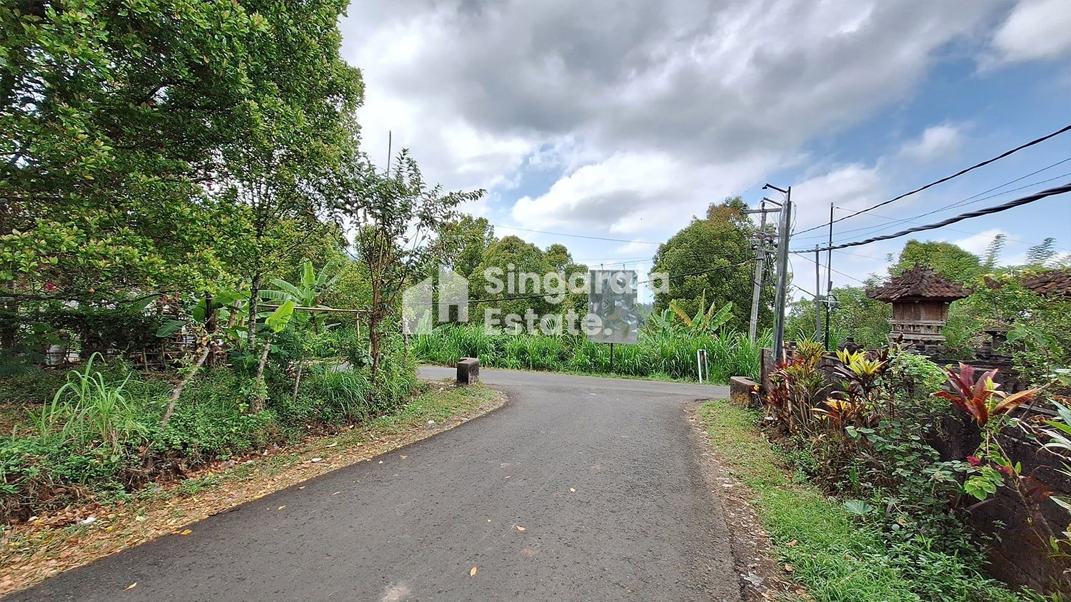 Tanah 5 Hektare View Laut di Dataran Tinggi Buleleng - Image 6